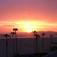 Los Angeles Electric Sunsets Vol.14