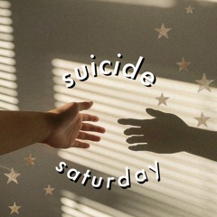 ⋆ suicide saturday - hippo campus ⋆ (cover)