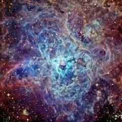 Set The Controls For The Heart Of The Sun