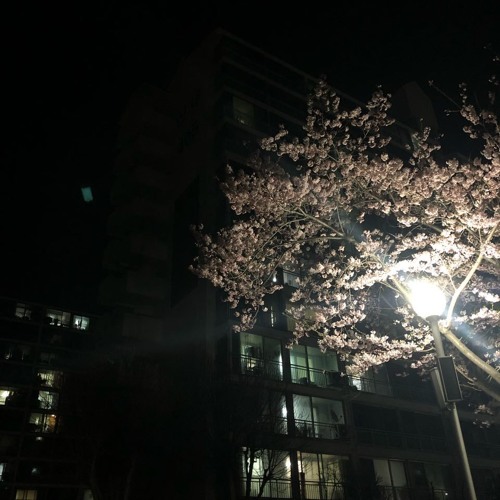 좋아하나봐(feat.Kew)(Prod. TAEB)