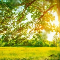 Hạ Buồn - ft IceMaster & Afader