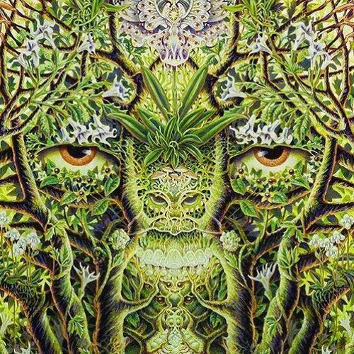 Creature Hour