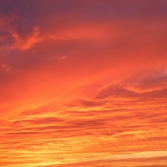 Red Lights (prod. by Sam F. J.)