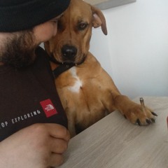 Another Reality 👽