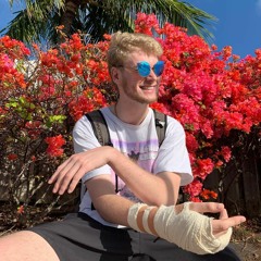 YUNG GRAVY- Splash Mountain [prod Jason Rich] (MUSIC VID IN DESCRIPTION)