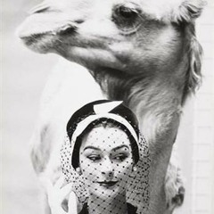 [FLIP DIS SAMPLE_002]