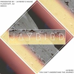JAYBIRD • YOU CAN'T UNDERSTAND THE JOURNEY