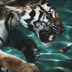 Don Da Prince - Drip