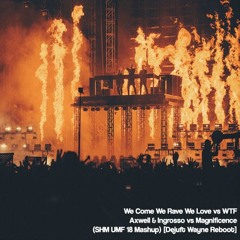 We Come We Rave We Love vs WTF (Swedish House Mafia UMF 18 Mashup) [Dejuft Wayne Reboot]