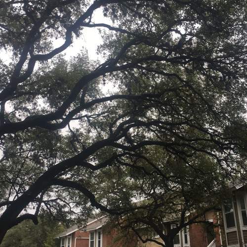 visiting this place before (prod. scottysplash)