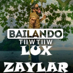 TiiwTiiw - Bailando (Lux Zaylar Remix)"Reggaeton Mix"