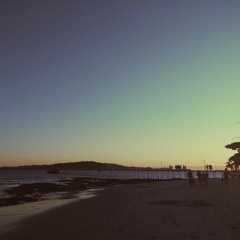 I Can't Make You Love Me - Bonnie Raitt (Cover - Dave Thomas Junior Version)