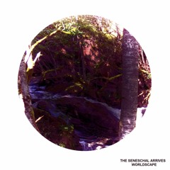 The Seneschal Arrives - Queasy Star