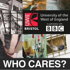 Inevitable Sorrow (''Wildlife, Who Cares?'' OST)