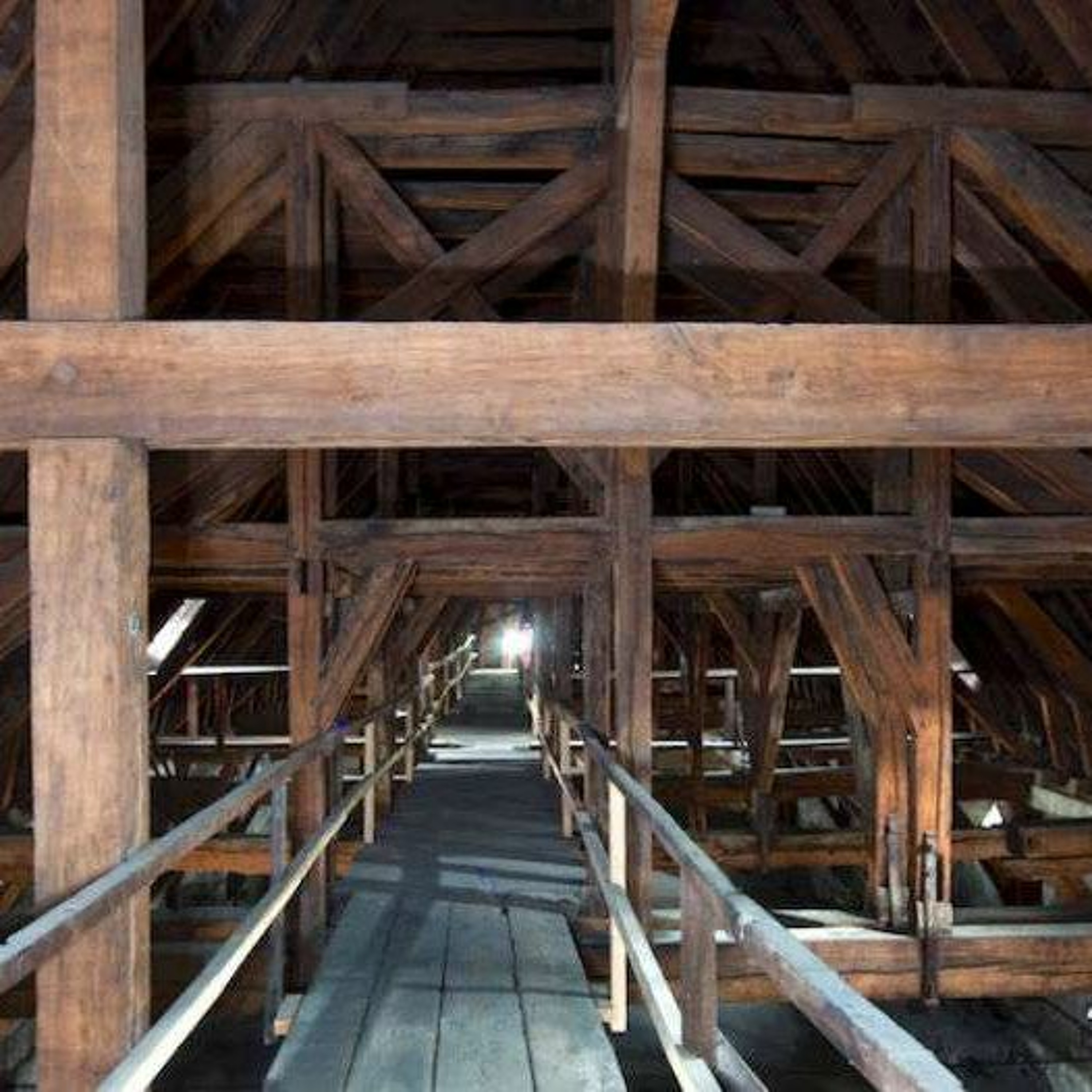 Episode 2: The French Oak of Notre Dame