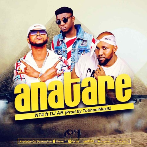 NT4 Ft. DJ AB - Anatare