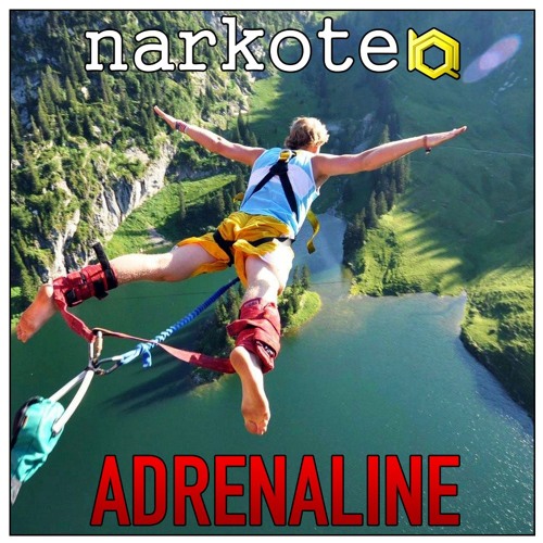 ADRENALINE(original mix)