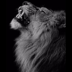 كالقيامة ذات يومٍ آتي - إرتجالي