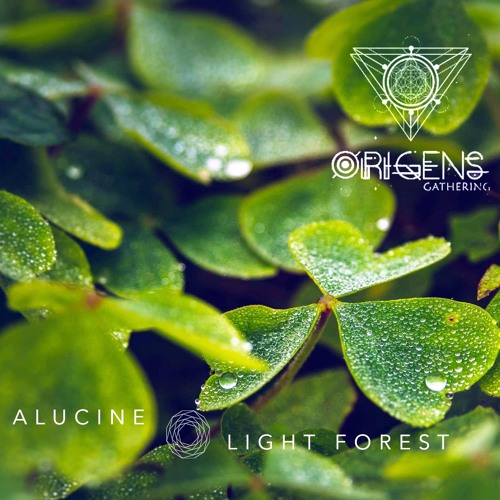 Light Forest @ Origens Gathering 2019 - Simbiose Stage
