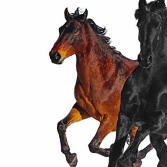 Lil Nas X, Billy Ray Cyrus - Old Town Road (Hauto Quick Remix)