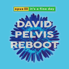 It's a Fine Day (David Pelvis Reboot)