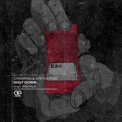 Champas & Synthethik - Hundert43 (Original Mix) PreView
