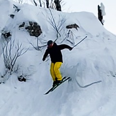 SKI STEEZE