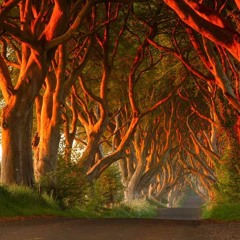 Boogie In Zero Gravity (OST GTA 5 RADIO MIRROR PARK)