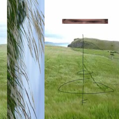 mistbanksrollinguphill