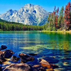 Tu Shayar Hai Dj Saurabh Remix