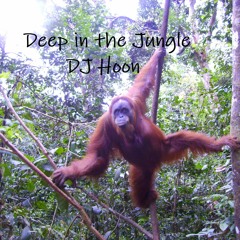 Deep in the Jungle - Jungle and dnb Mix - DJ Hoon