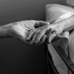 (بنت عايزة تحب لاكن رافضه فكرة الارطبات):عبدالله البوب