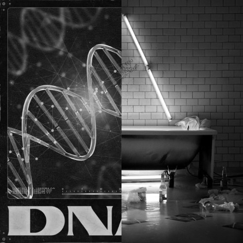 Corey James vs. SHM - DNA vs. Greyhound vs. WCWRWL vs. More Than You Know (steady re-edit)