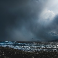 MNMT Premiere: Araceae – Fading Embers