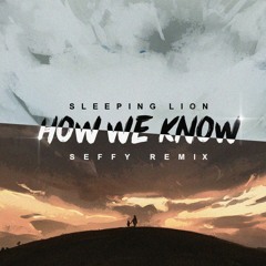 Sleeping Lion - How We Know (Seffy Remix)