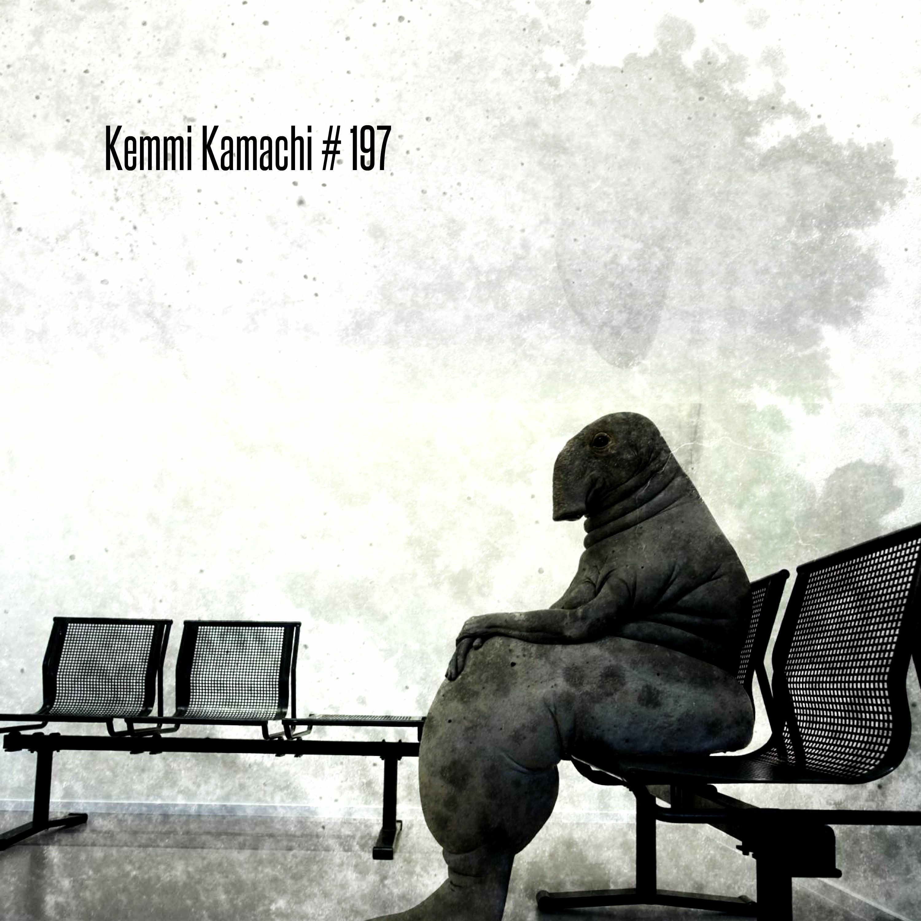 Kemmi Kamachi