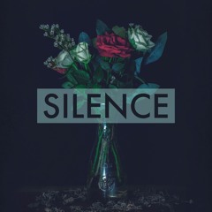 Frédéric Chopin - Prelude (Op.28, No. 4) Largo Remix