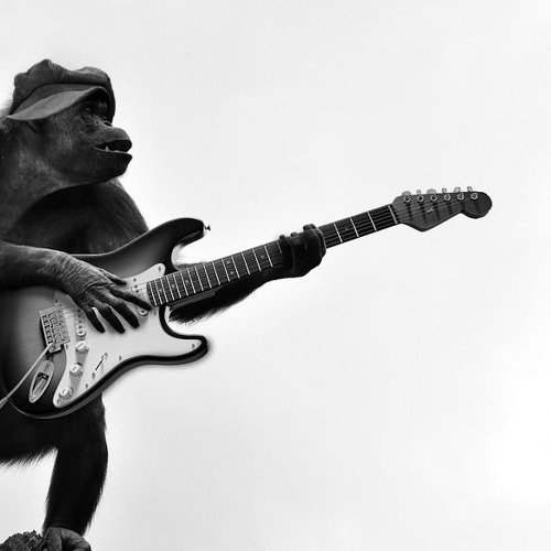 Next Door Neighbour Blues By The Moonshine Monkeys On Soundcloud