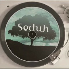 Seduh - Balada Panyun dan Manyun ( Official Music and Video )