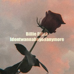 【 Noyashi 】 Billie Eilish - idontwannabeyouanymore (Cover)