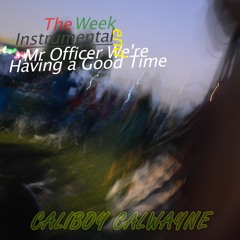 Mr. Officer We're Having a Good Time - The Weekend- Instrumental