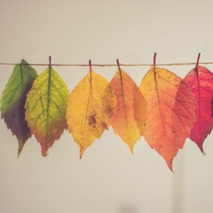 Electric Whispers - The Change Of The Season