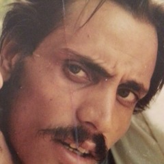 سرزمین هرز (بصیرت سایه‌ها)اثر رضا صفریان، با صدای دیمان مهرگان