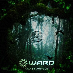 John Bittar - Crazy Jungle (Original Mix)