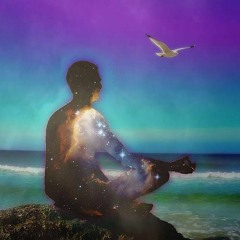 I REMEMBER WHO I AM - A Chakra Meditation (the other way)