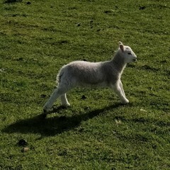 I'll Be Here For You