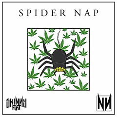 Skinny Flat - Spider Nap [FREE DOWNLOAD]