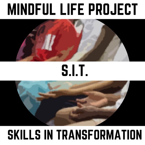 S.I.T. - Skills in Transformation