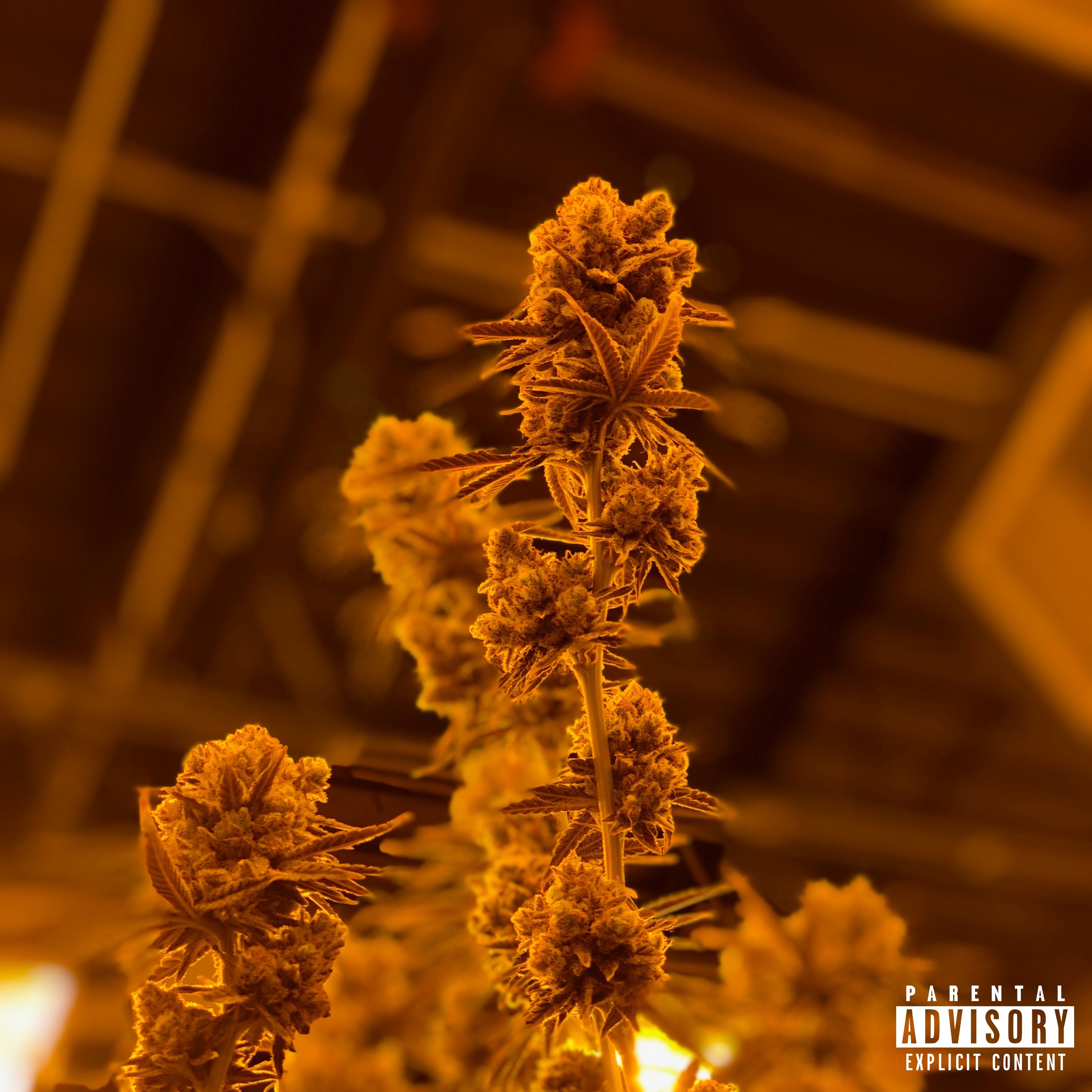 State To State II [Prod. By TheeZenith x Blacksheep Beats] episode artwork