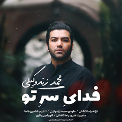 Mohammad Zand Vakili Fadaye Sare To